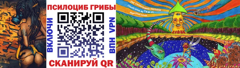 Псилоцибиновые грибы мухоморы  Купить закладки  Вилючинск 